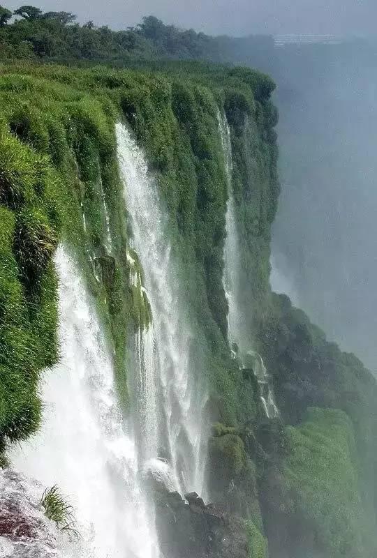 虫虫助手下载
